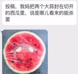 妈咪连线吃瓜,揭秘娱乐圈吃瓜背后的故事