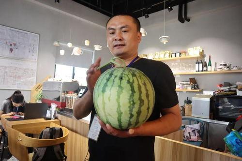 浦东干部吃瓜视频,揭秘官场日常一幕