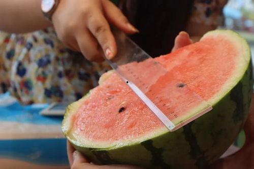 浦东干部吃瓜视频,揭秘官场日常一幕