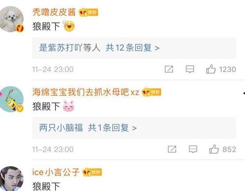 吃瓜忘记时间,一觉睡到吃瓜忘时