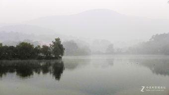一簑烟雨吃瓜,揭秘吃瓜背后的文化现象