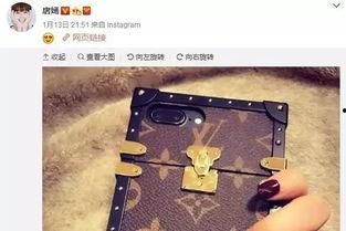 吃瓜手机壳,揭秘“吃瓜手机壳”的独特魅力