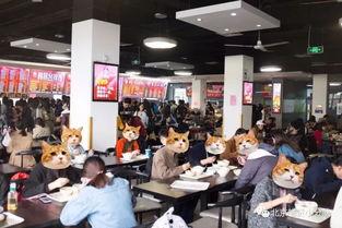 吃瓜网首经贸,吃瓜网带你揭秘校园生活点滴