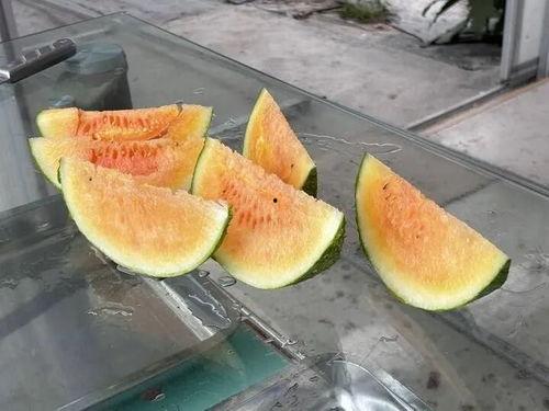 农村夏日吃瓜,农村夏日吃瓜习俗探秘