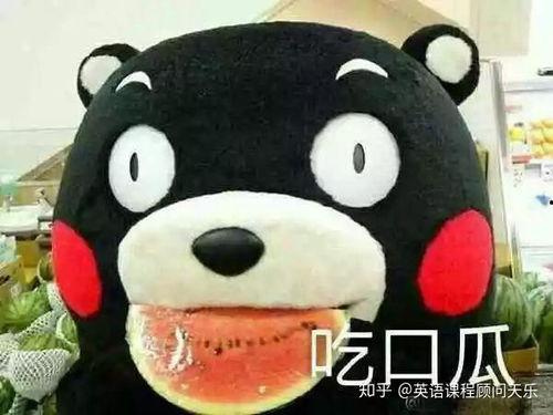 形容吃瓜图片,一图看尽人间百态