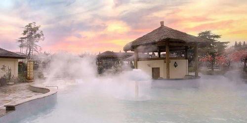 唐庄温泉酒店吃瓜,一场别开生面的吃瓜盛宴