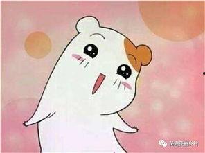 两亿福利吃瓜,全民吃瓜狂欢，共享盛宴时刻