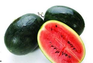 吃韩城的瓜意思,一场关于美食与传说的“吃瓜”盛宴