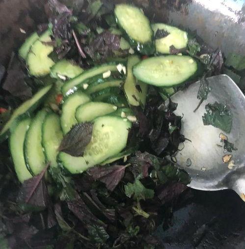 叶宸吃瓜,揭秘娱乐圈背后的那些事儿