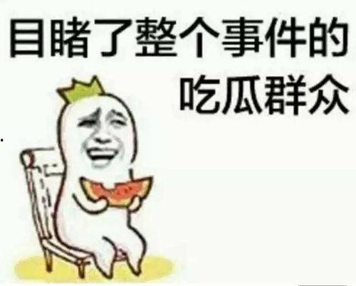 吃瓜群众天才律师,智慧与正义的化身