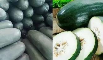 什么瓜可吃,盘点那些可食用的“瓜”类食材